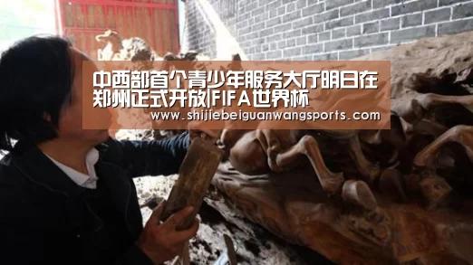 中西部首个青少年服务大厅明日在郑州正式开放|FIFA世界杯(图1) 世界杯赛程