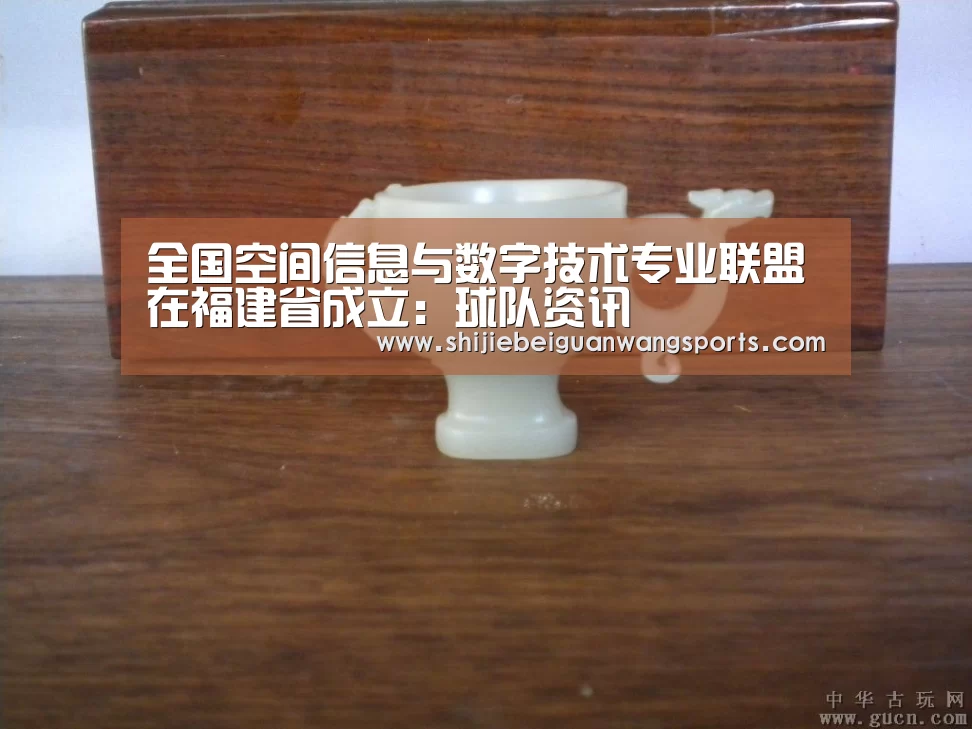 全国空间信息与数字技术专业联盟在福建省成立:球队资讯(图1) FIFA世界杯