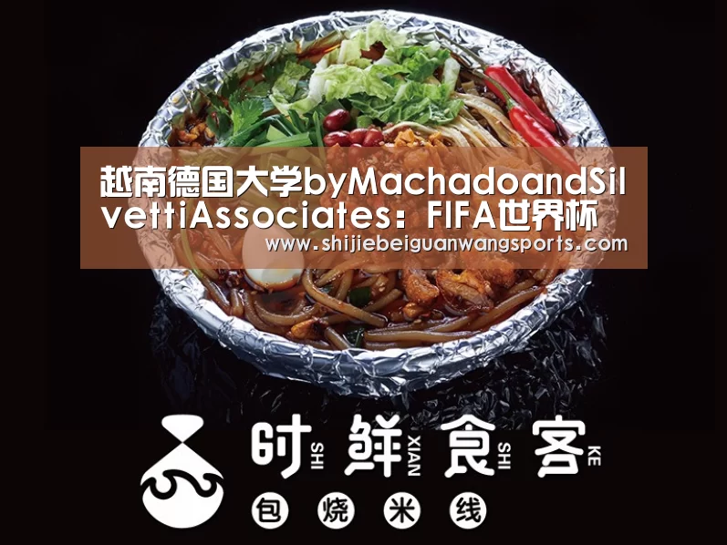 越南德国大学byMachadoandSilvettiAssociates:FIFA世界杯(图2) 世界杯赛程