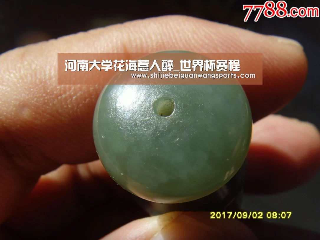 河南大学花海惹人醉_世界杯赛程(图4) 球队资讯