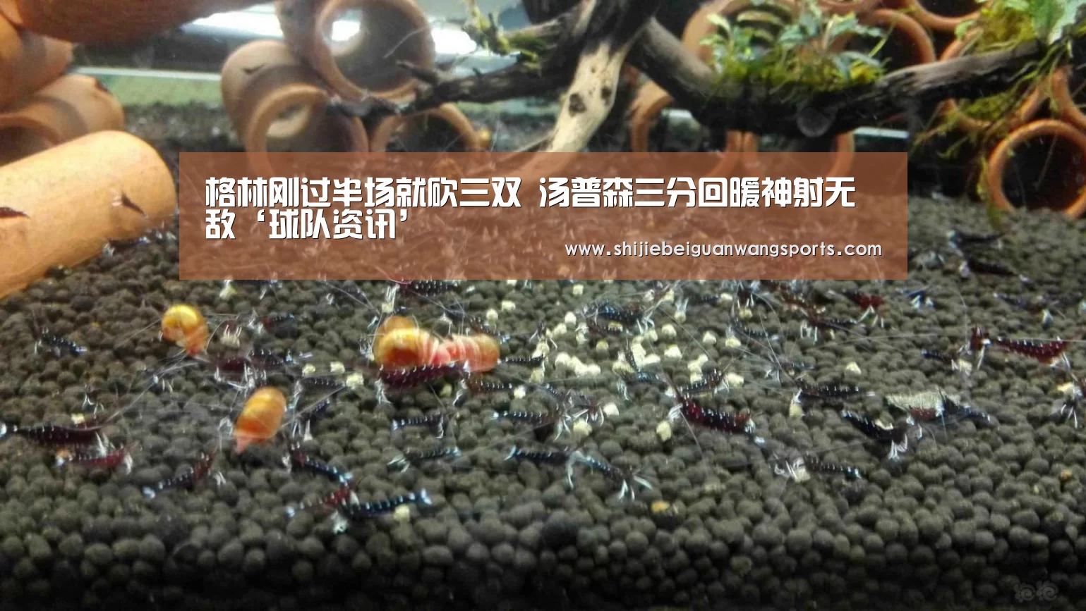 格林刚过半场就砍三双 汤普森三分回暖神射无敌‘球队资讯’(图1) 2026世界杯