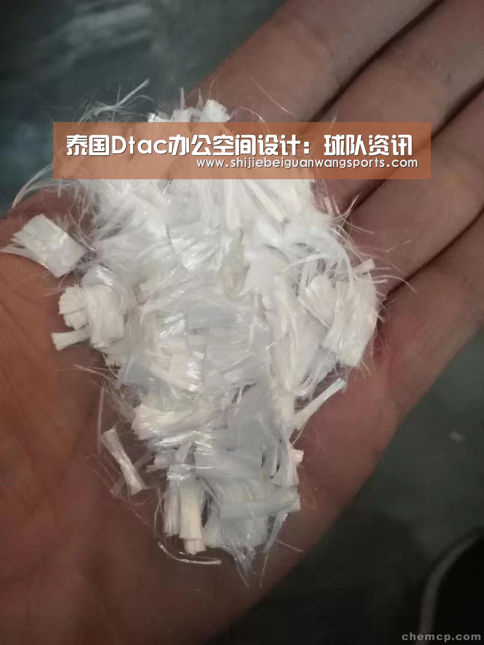 泰国Dtac办公空间设计:球队资讯(图1) 2026世界杯