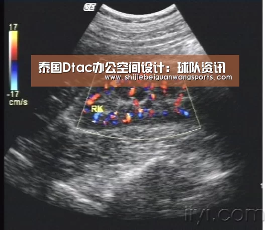 泰国Dtac办公空间设计:球队资讯(图3) 球队资讯