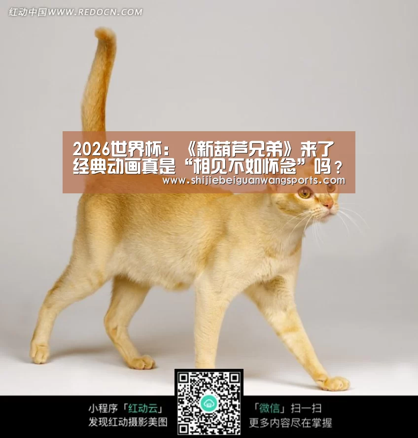 2026世界杯:《新葫芦兄弟》来了经典动画真是“相见不如怀念”吗?(图1) 世界杯赛程