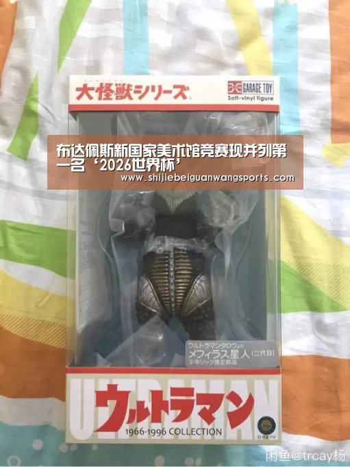 2026世界杯
