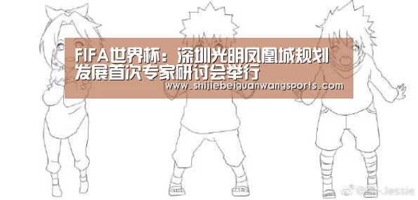 FIFA世界杯:深圳光明凤凰城规划发展首次专家研讨会举行(图4) 球队资讯