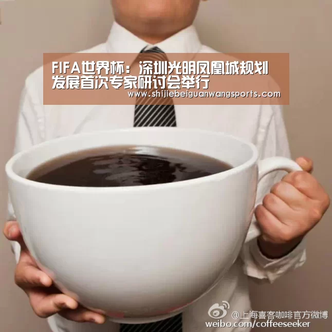 FIFA世界杯:深圳光明凤凰城规划发展首次专家研讨会举行(图3) FIFA世界杯