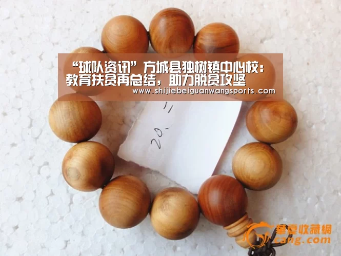 “球队资讯”方城县独树镇中心校:教育扶贫再总结,助力脱贫攻坚(图1) 球队资讯