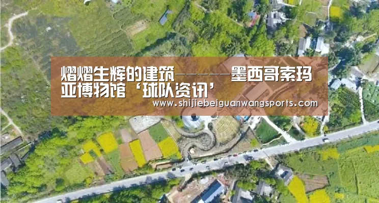 熠熠生辉的建筑-----墨西哥索玛亚博物馆‘球队资讯’(图3) FIFA世界杯